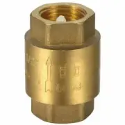 SPRING CHECK VALVE Brass General Purpose - Non Return Valve
