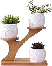 White Owl Ceramic Succulent Pots, 3Pcs Modern Decorative Flower Planters w/3 Tier Bamboo Saucers Stand Holder &Drainage, Home Office Desk Garden Mini Cactus & Flower Pots