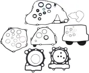 Athena Complete Gasket Kit w/Oil Seals (P400250900069)