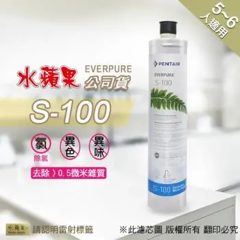 台灣愛惠浦 Everpure 濾芯 S-100/S100 (公司貨)