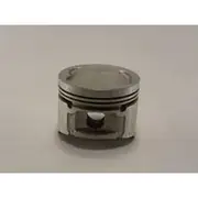 Austral Piston Set - PO1207 020