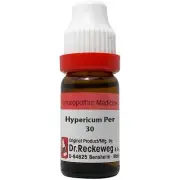 Dr. Reckeweg Germany Hypericum Perforatum Dilution 11ml Choose Potency