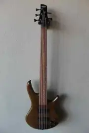 Brand New Ibanez Gio GSR205B 5 (Five) String Electric Bass Guitar - Walnut Flat
