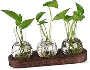 Abaodam 1 Set Hydroponic Glass Vase Desktop Glass Planter for Plant Propagation Station Clear Flower Vase for Home Decor Office Table Centerpiece Indoor Greenery Display