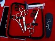 5" Quality Hairdressing & Hair Thinnings scissors/Japanese Steel + SafetyTip+Oil
