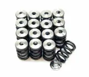 GSC For Subaru EJ Series P-D Valve Spring Kit (set of 16) - 5743