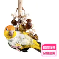 在飛比找momo購物網優惠-【YOYO 悠悠水族】天然果實啃咬玩具_二入組(鳥用品、鳥玩