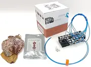 AirFly 6-Loops Crab Trap for Fishing Poles: Perfect for Catching Dungeness, and Blue Crabs, Made in USA