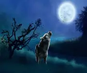 WOLF HOWLING AT THE MOON WOODS COMPUTER MOUSE PAD 9 x 7