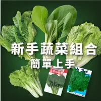 在飛比找蝦皮購物優惠-現貨）新手葉菜種子組合｜菠菜＋萵苣＋大陸妹＋青江白＋小白菜＋