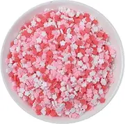 100g Resin Flatbacks Slime Accessories Clay Sprinkles Decoration for Slime Charms Filler DIY Slime Supplies Fake Candy Chocolate Cake Dessert Mud Particles Toy Scrapbook Phone Case, cherry16