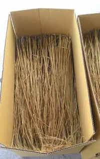 在飛比找Yahoo!奇摩拍賣優惠-育園乾稻草~ 裝飾用乾稻草/1箱（宅配免運）