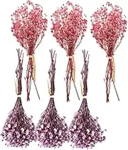 Amosfun 6pcs Breath Dried Flowers Artificial Floral Arrangements for Wedding Decor Home Decoration Photography Prop Present Box Included