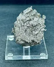 DRONINO ATAXITE IRON METEORITE FROM RUSSIA 61,0 g