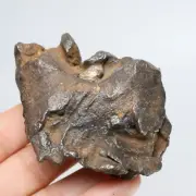 354g Gebel Kamil iron meteorite, Egypt, Space Gift, meteorite, specimen R1567