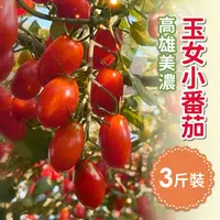 在飛比找ihergo愛合購優惠-免運!【家購網嚴選】高雄美濃玉女小番茄 3斤/盒 3斤盒