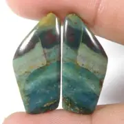 26.00 Cts Dazzling Bloodstone Pair Fancy Cabochon Loose Gemstone 01