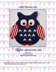 Patriotic Owl Wall Hanging-Plastic Canvas Pattern or Kit