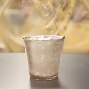 Ash Antique Mercury Tumbler