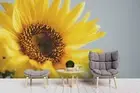 3D Yellow Floral Wallpaper Wall Mural Removable Self-adhesive 185