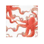Ocean-Inspired Face Towel featuring Octopus Design