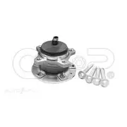 GSP Wheel Hub Assembly - 400335K