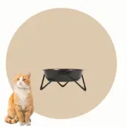 Bendo Cat Bowl "Meow" | Black on Black
