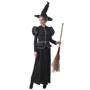 Classic Black Wicked Witch Costume (Dress + Hat) - Adult