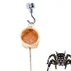Jumping Spider Enclosure Uses A Bolt/Nut Combo Jumping Spider Hide For Hidding