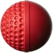 GA SWINGA Technique Cricket Ball
