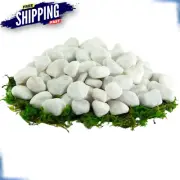 Small White River Stones Natural Pebbles Indoor Outdoor Rock Garden Decoration