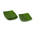 7.5 Inch Banana Leaf Square Ice Cream Starters Serving Melamine Plate pack of 6