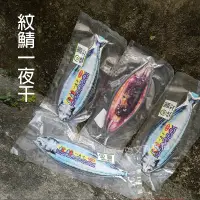 在飛比找蝦皮購物優惠-紋鯖一夜干 鹹魚 魚干 造型 收納袋 筆袋 筆刷袋 交換禮物