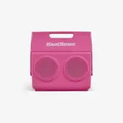 New igloo kool tunes Bluetooth