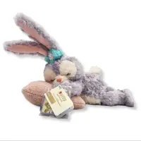 在飛比找蝦皮購物優惠-『玩樂一族』現貨 香港迪士尼 達菲家族 史黛拉兔 睡姿 絨毛