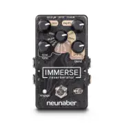 Neunaber Immerse Reverberator MK II