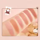 6 Colors Blush Palette For Cheek Makeup Blush Colors Dirty Orange Plum Dried SD3