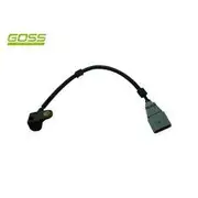 RAE Camshaft Position Sensor - SC501