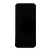OLED Frame Assembly for OnePlus 9 North America Europe Arctic Sky Premium