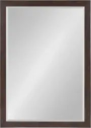 Beatrice Framed Decorative Rectangle Wall Mirror, 27X39, Walnut Brown