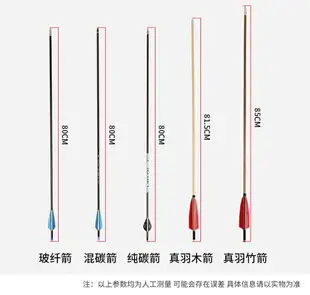 限時下殺~箭支一打玻纖純碳素箭射箭傳統復合反曲弓箭射擊練習美獵弓箭