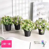 在飛比找momo購物網優惠-【Meric Garden】創意北歐小清新仿真迷你花草療癒小