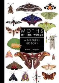 在飛比找博客來優惠-Moths of the World: A Natural 