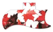 SG Half Face Pickguard Custom Gibson Graphical Guitar Single Canadian Patriot 1