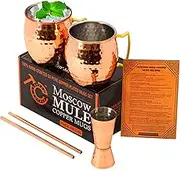 Moscow Mule Cups Set of 2 | 100% Pure Copper Plated 16 OZ Hammered Copper Cups with 304 Stainless Steel Lining and Brass Handles with 2X Straws and 1x Jigger For Cold Drinks, Beer, Wine, Bars, Parties