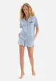 Blue Tshirt & Shorts, Stripe, Shirt Collar, Regular, Short Leg, Short Sleeve Sleepwear for Women