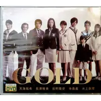 在飛比找蝦皮購物優惠-日本電視劇-DVD-台壓版-GOLD-天海祐希 反町隆史 長