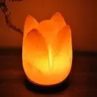 Himalayan SALT LAMP Rock Crystal LOTUS FLOWER Unique Ionizer