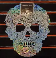 Skull Vinyl Placemats Iridescent Set of 6 New in Package