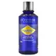 L OCCITANE 歐舒丹 蠟菊精華凝露200ml-公司貨